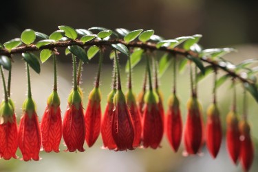 金华永康1零用贷短借：轻松解决临时资金需求