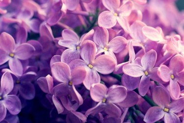 金华永康1企业急用钱贷款攻略：快速融资解燃眉之急